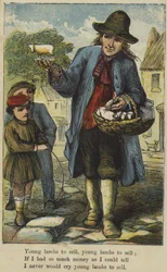 Jeunes agneaux à vendre