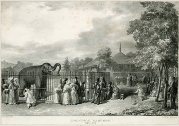 Jardins zoologiques, Regents Park