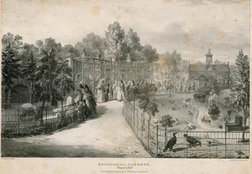 Jardins zoologiques, Regents Park