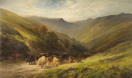 Bétail des Highlands