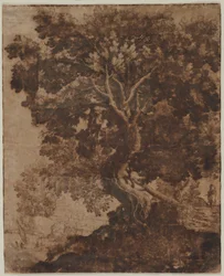Arbre dans un paysage