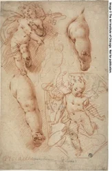 Esquisses de Putti, jambes