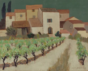 Vignoble, Provence