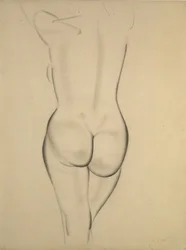 Le nu