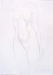 Torso