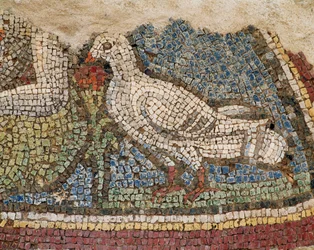 Une colombe. Mosaïque des maisons de pente d