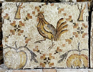 Un canard, détail du pavement du bain de Tibériade (mosaïque)