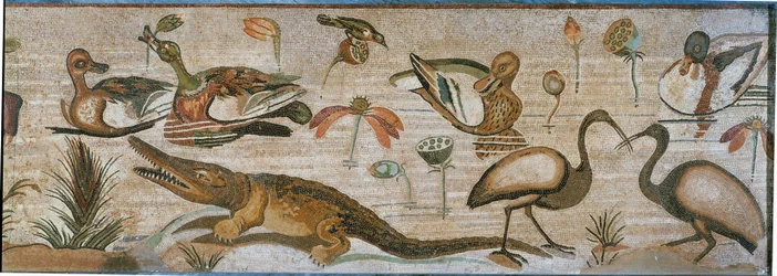 Animaux aquatiques. Partie d