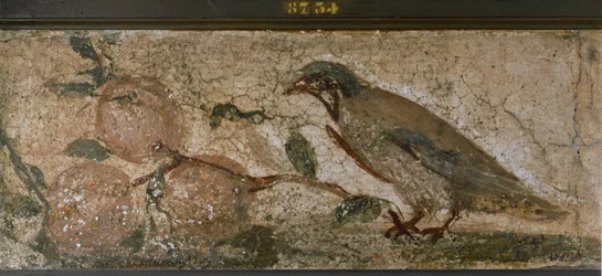 Oiseau et fruits de Pompéi, Italie (peinture murale)