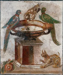 Oiseaux buvant dans un bain d