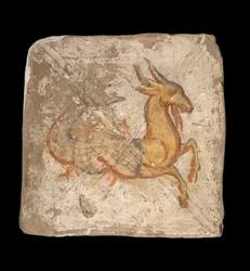 Capricorne 244-245 CE ...