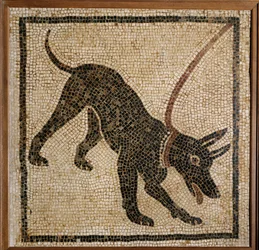 Cave Canem - Attention au chien, mosaïque de seuil de Pompéi