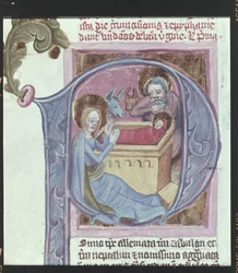Détail : initial : La naissance du Christ