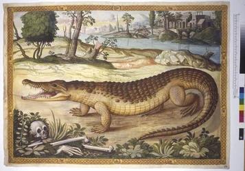Pleine page : Crocodile du Nil dans un paysage, avec des ossements humains à côté, vers 1562-1580 (aquarelle sur papier)