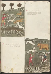 Pleine page : texte et miniatures : "Carne le lepore " - chasse au lièvre et au renard : "Carne de orso " - chasse à l