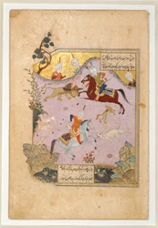 Chasse aux animaux sauvages AO 7106 ...