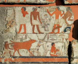 Peinture murale provenant de la tombe du pharaon Metchetchi ...
