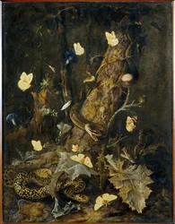 Serpents et papillons …