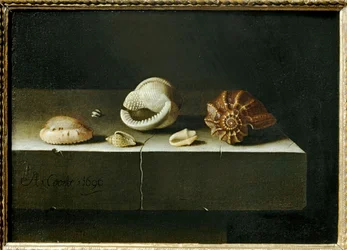 Six coqillages sur une tranche de pierre …