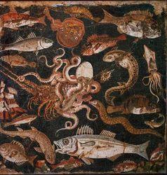 Faune sous-marine. Mosaïque de Pompéi, Italie