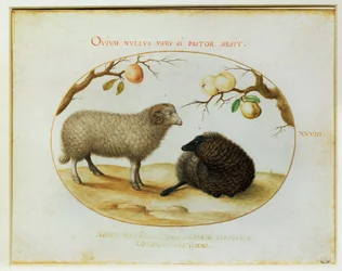 Deux moutons, deux rameaux avec des pommes ...