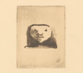 Deux têtes en ovale