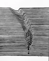 Illusion d
