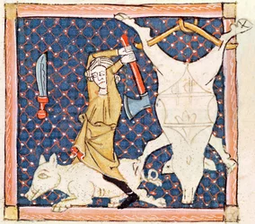 Fol.59v Décembre : Mise à mort des cochons (vélin)