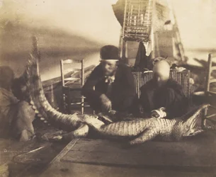 Autopsie du Premier Crocodile à Bord, Haute-Égypte