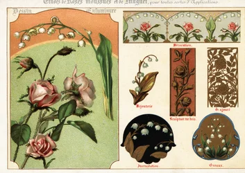 Images de rose mousse et de muguet des manuscrits