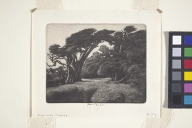 Tonnelle de cyprès