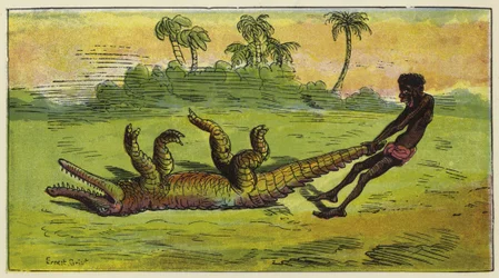 Homme Ashanti traînant un crocodile endormi par la queue