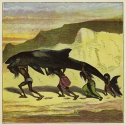 Grand poisson drôle