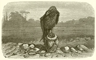 Le Corbeau et le Pichet