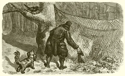 Le Chasseur et le Merle