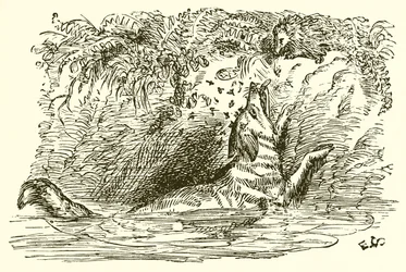 Le Renard et le Hérisson