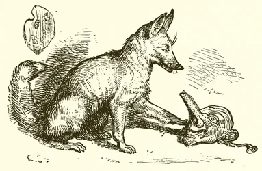 Le Renard et le Masque