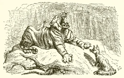 Le Renard et le Tigre