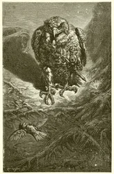 Le Faucon et le Rossignol