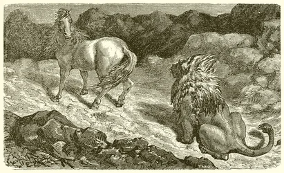 Le cheval et le lion