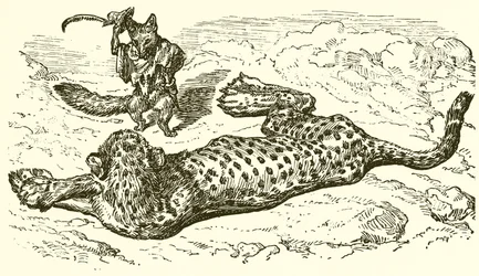 Le Léopard et le Renard