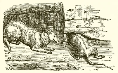 La Souris et la Belette