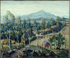 Bouleaux de Nouvelle-Angleterre