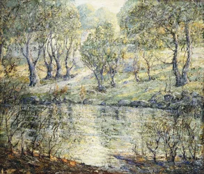 Chemin vers la rivière