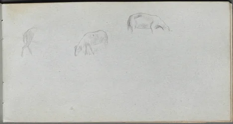 Carnet de croquis, page 20 : Étude d