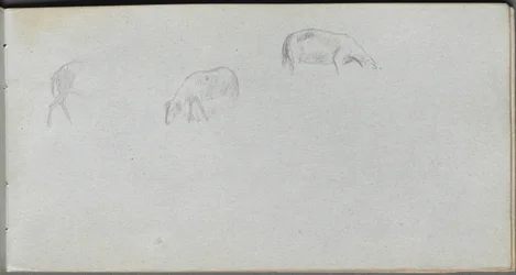 Carnet de croquis, page 20 : Étude d