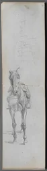 Carnet de croquis, page 56 & 57: Étude d