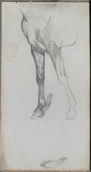 Carnet de croquis, page 66 : Étude d