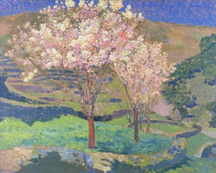 Arbres en fleurs avec terrasses