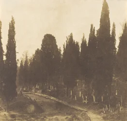 Turquie : Cimetière de Scutari, 1852 (photo)